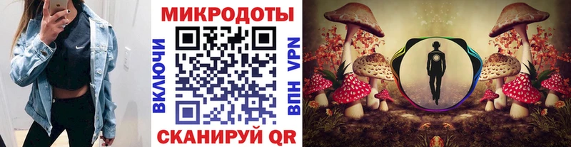 Псилоцибиновые грибы GOLDEN TEACHER  Чёрмоз 