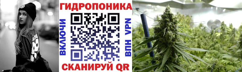 mega как зайти  Чёрмоз  МАРИХУАНА сатива 